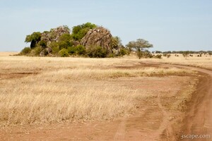 Rock outcroppings (kopjes)