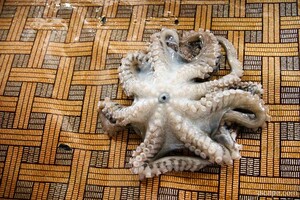 Octopus at the Stone Town fish market