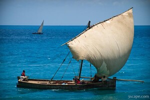 Previous: Zanzibar Dow