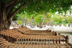Loungers on the beach
