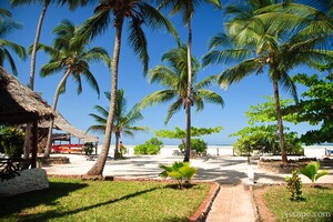 The beach and palm trees at the resort