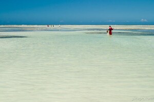 Local fisherman fishing in the low tide waters