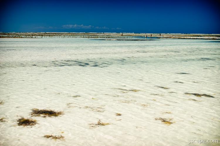Low tide exposed half a mile of beach