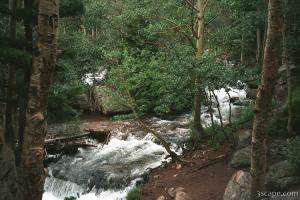 Mountain stream