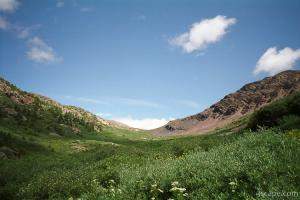 Mountain meadow on the Continental Divide