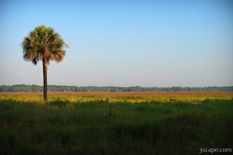 Myakka River State Park