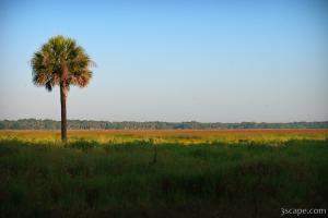 Next: Myakka River State Park