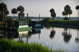 Next: Tour boats at Myakka River State Park