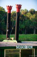 Gator Gal (tour boat)