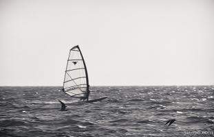 Wind surfer