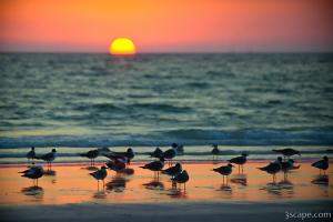 Sunset at Siesta Key