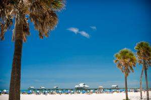Previous: Clearwater Beach