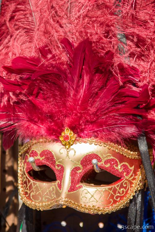 Mardi Gras mask