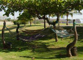 Hammocks for relaxing