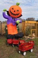 Jack-o-lantern Man