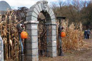 The Haunted Cornfield