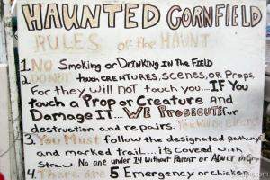 Strict rules for the haunted cornfield