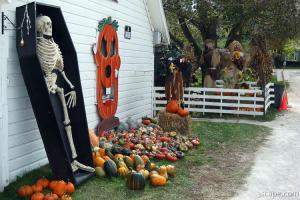 Dead guy at the pumpkin patch