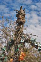 Tree guy
