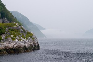 Foggy fjord in Tadoussac, Quebec