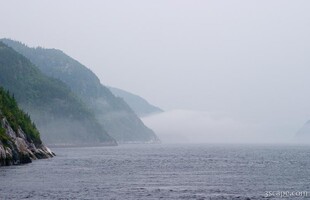 Foggy fjord in Tadoussac, Quebec