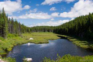 Picturesque view of Canadian wilderness