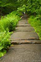 Path in Niagara Falls State Park