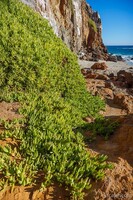 Point Dume at Zuma Beach