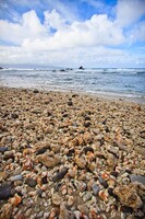 Broken up coral beach