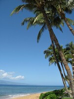 The beach at Papakea Resort
