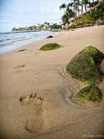 Footprints in the sand