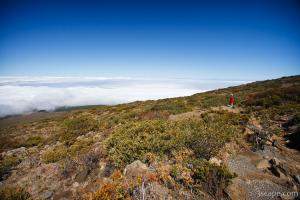 Previous: Hiking above the clouds
