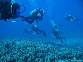 Group of scuba divers