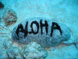 Aloha - scuba diving Maui
