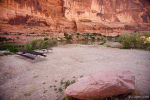 Once lush Goose Island campsite has been destroyed by fire in recent years