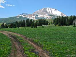 4x4 trail into the La Sal mountains near Burro Pass