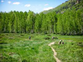 Mountain biking in the La Sal mountains