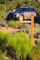 Murphy Hogback Campground