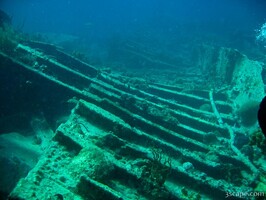 Skeleton of the Rhone