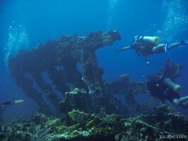 Divers around the wreck