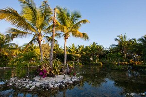 Ponds at Melia Caribe
