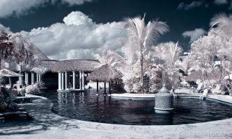 Melia Caribe Tropical VIP pool