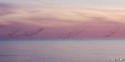 Pastel abstract - flying seagulls at dusk