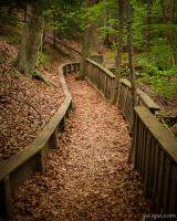 Winding wooded trail in PJ Hoffmaster State Park