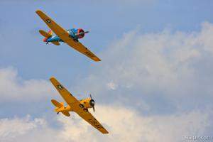North American T-6 Texans in formation