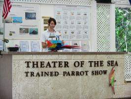 Theater of the Sea - Parrot Show