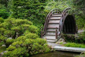 Moon Bridge - Japanese Tea Garden