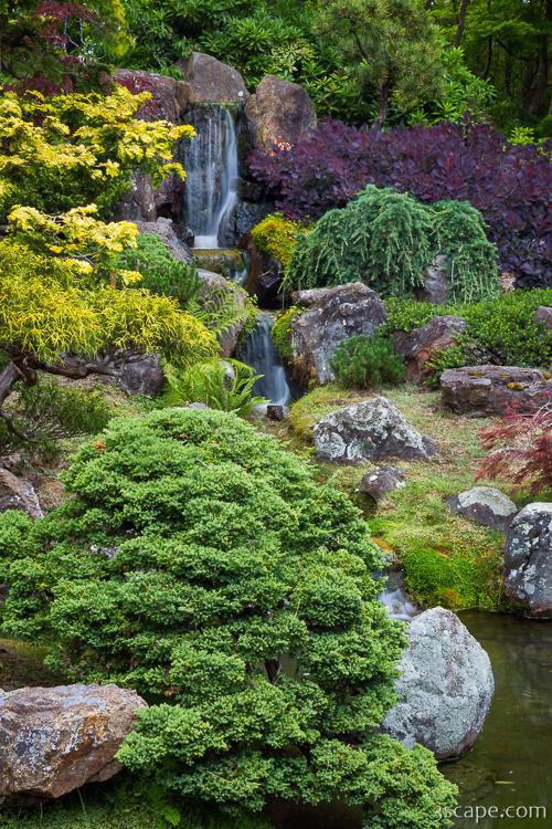 Cascade Waterfall - Japanese Tea Garden