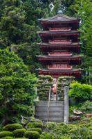 Pagoda in Japanese Tea Garden - Golden Gate Park