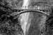 Next Image: Multnomah Falls Black and White 2